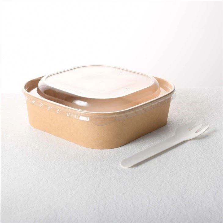 Recyclable Kraft Square Paper Bowl